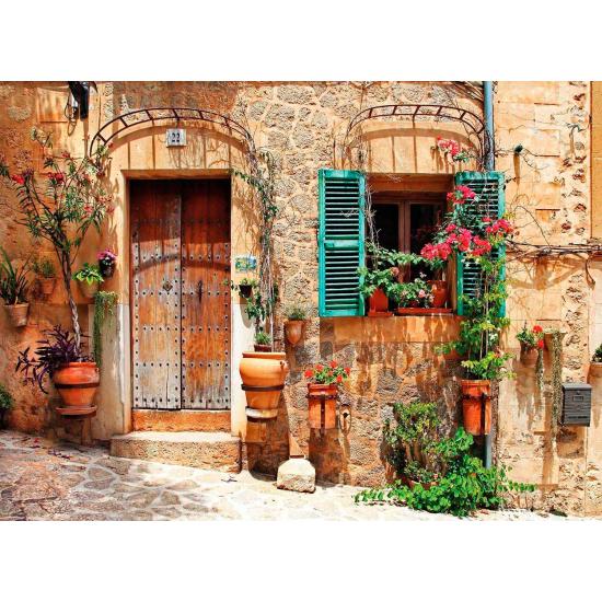 Puzzle Nova Charming Old Street 1000 pièces