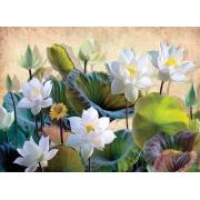 Puzzle Nova Fleurs de Lotus Blanc 1000 pièces