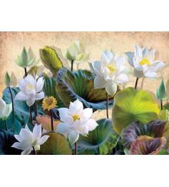 Puzzle Nova Fleurs de Lotus Blanc 1000 pièces