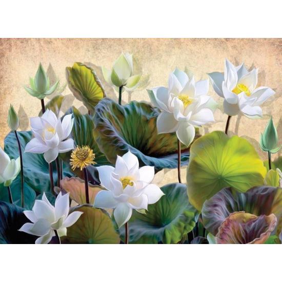 Puzzle Nova Fleurs de Lotus Blanc 1000 pièces