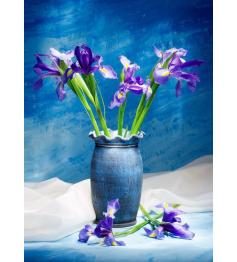Puzzle Nova Iris 1000 pièces