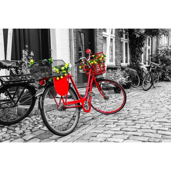 Puzzle Nova Le Vélo Rouge 1000 Pièces