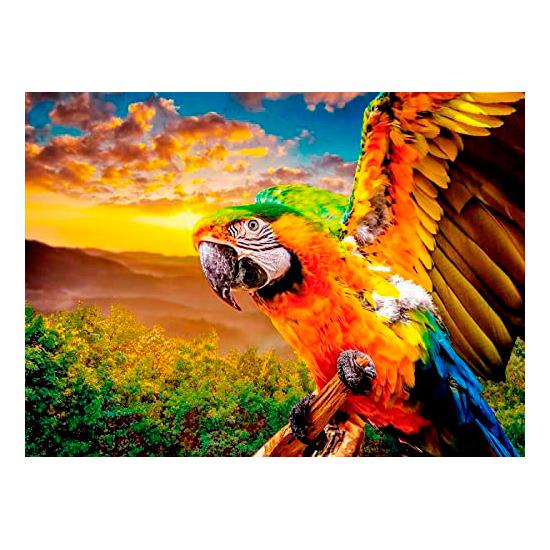 Puzzle Nova Perroquet américain 1000 pièces