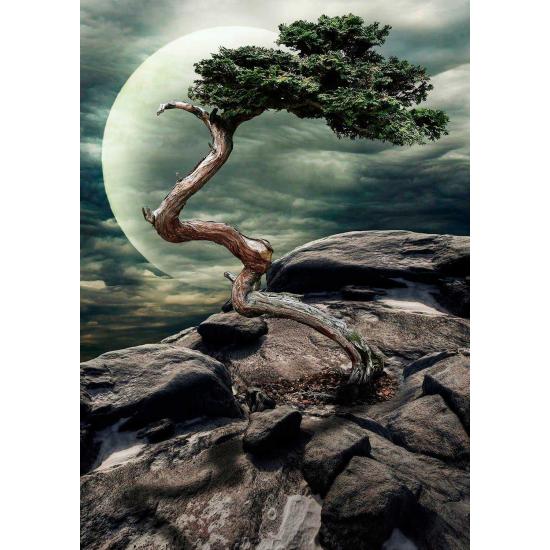 Puzzle Nova Miracle de la Nature 1000 pièces