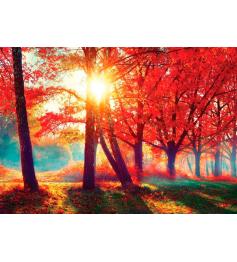 Puzzle d'automne rouge Nova 1000 pièces