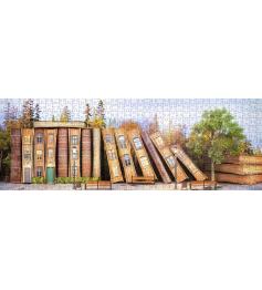 Puzzle Nova Panorama Rue du Livre 1000 pièces