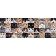 Puzzle Nova Panorama Collage de Chats 1000 Pièces
