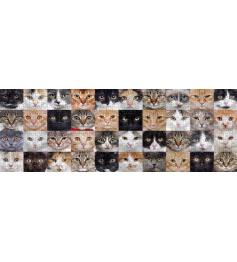 Puzzle Nova Panorama Collage de Chats 1000 Pièces