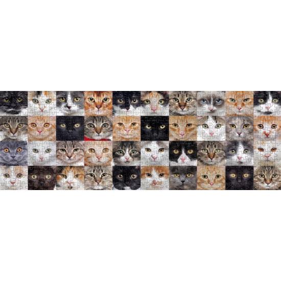 Puzzle Nova Panorama Collage de Chats 1000 Pièces