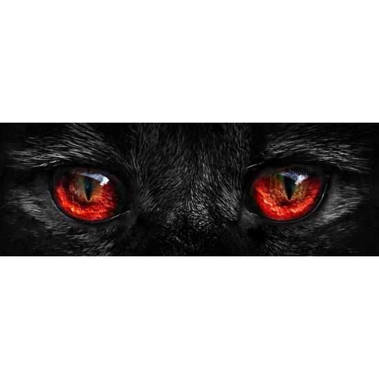 Puzzle Nova Panorama Cat's Eyes 1000 pièces