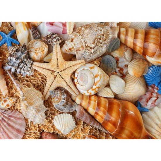 Puzzle Nova Beach 1000 pièces