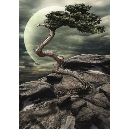 Puzzle Nova Solo 1500 pièces