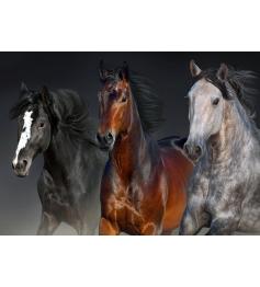 Puzzle Nova Trois Coeurs Nobles 1000 Pièces