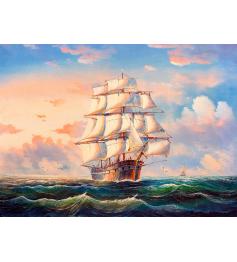 Puzzle Nova Voile en eaux troubles 1000 pièces