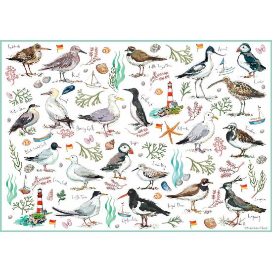 Puzzle de 500 pièces Oiseaux de mer Otter House