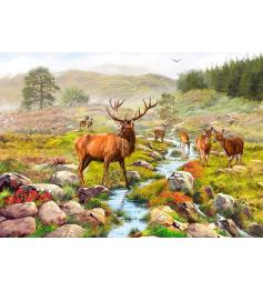 Otter House Cerf dans le parc national Puzzle 1000 pièces
