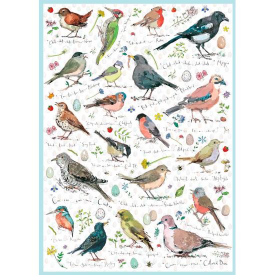 Otter House Wild Bird Collection Puzzle 1000 pièces