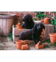 Otter House Puzzle Chiots Bill et Ben 500 pièces