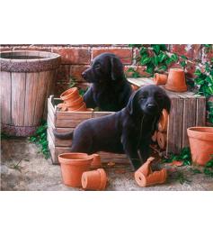 Otter House Puzzle Chiots Bill et Ben 500 pièces