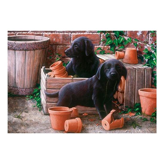 Otter House Puzzle Chiots Bill et Ben 500 pièces