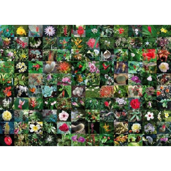 Piatnik Puzzle Collage de Fleurs 1000 pièces