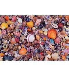 Piatnik Puzzle Coquillages 1000 pièces