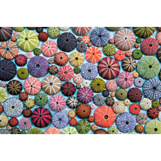 Piatnik Puzzle Oursins 1000 pièces