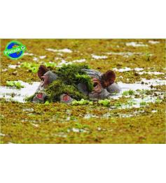 Piatnik Hippopotame Puzzle 1000 pièces