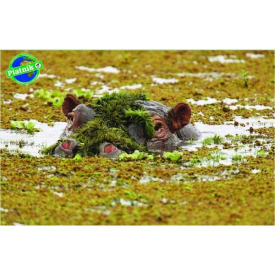 Piatnik Hippopotame Puzzle 1000 pièces
