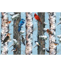 Puzzle Piatnik Oiseaux d'hiver 1000 pièces