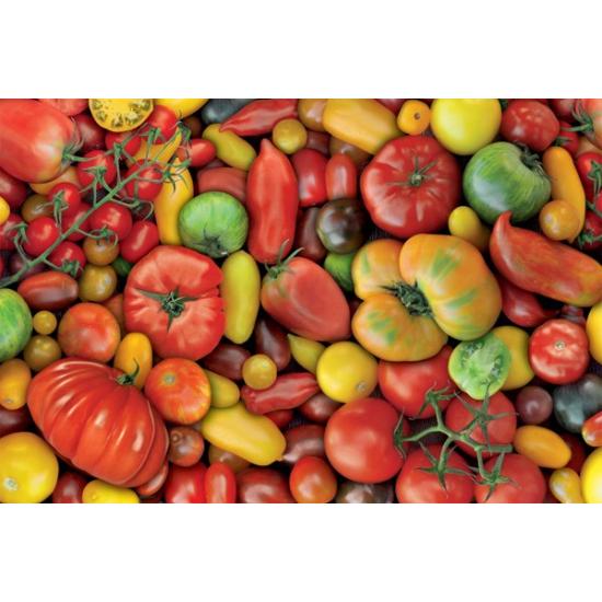 Puzzle Piatnik Tomates 1000 pièces