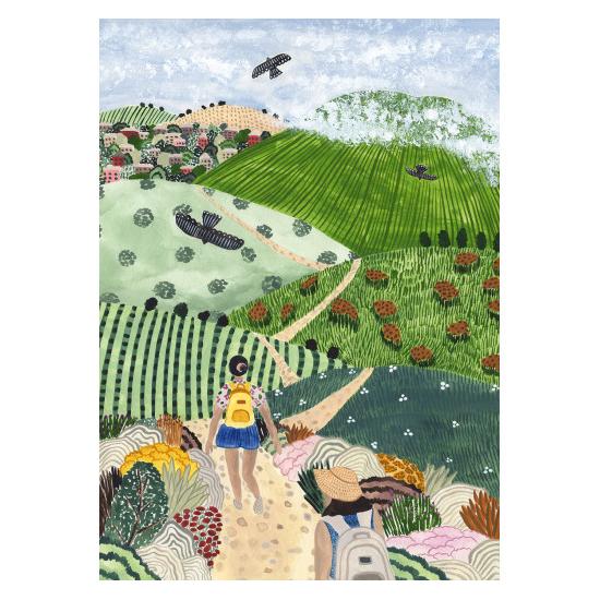 Puzzle Pieces and Peace 1000 P Wine Country Walk Puzzle Pieces and Peace 1000 P Wine Country Walk