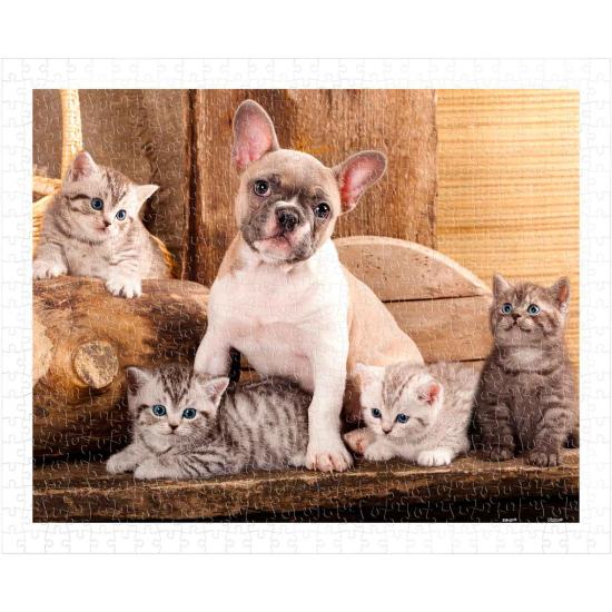 Puzzle Pintoo Petits chatons et un chien 500 pièces