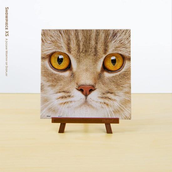 Pintoo Puzzle Chat Close-up MINIATURE 256 Pièces