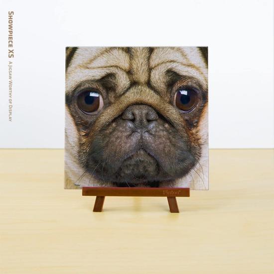 Pintoo Puzzle Close-up Carlin MINIATURE 256 pièces