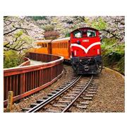 Pintoo Puzzle Forest Train dans le parc national d'Alishan à