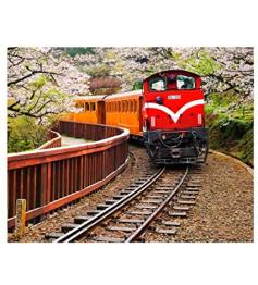 Pintoo Puzzle Forest Train dans le parc national d'Alishan à