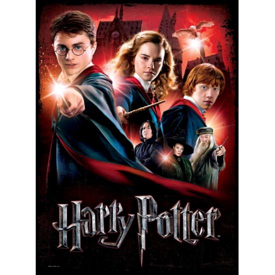 Puzzle Poster Wrebbit Harry Potter, école de Poudlard 500 pieds