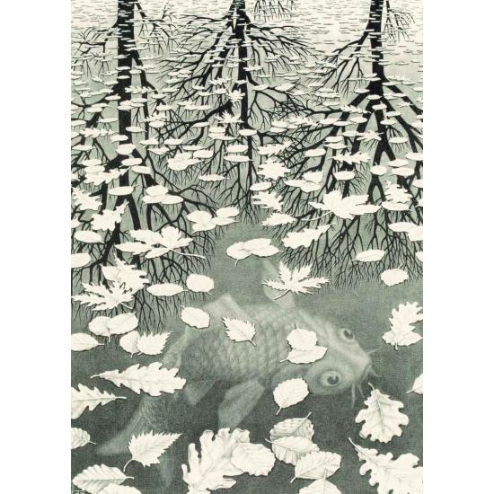 Puzzle Puzzelman Trois Mondes 1000 Pièces Puzzle Puzzelman Trois Mondes 1000 Pièces