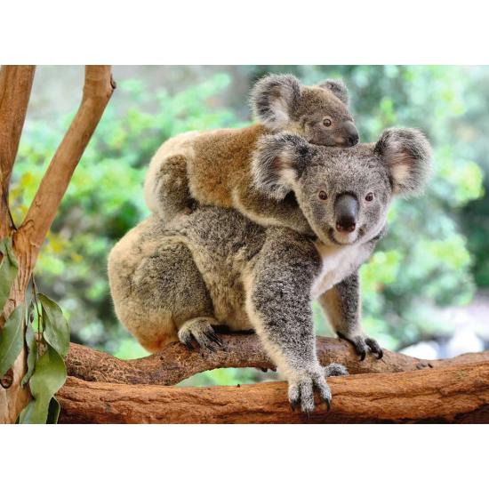 Ravensburger Puzzle Koala Love XXL 200 pièces