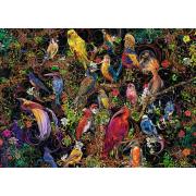 Ravensburger Oiseaux d'art Puzzle 1000 pièces