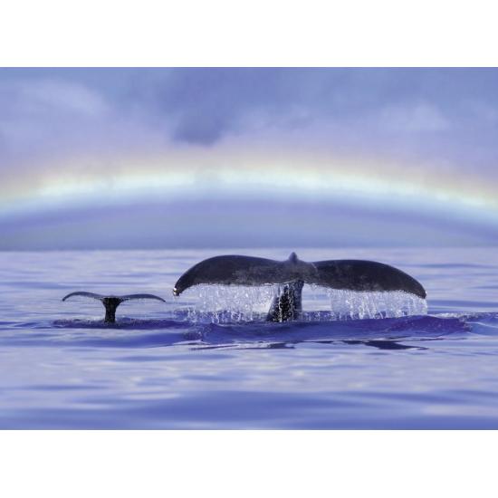 Ravensburger Baleines dans l'océan Puzzle 500 pièces