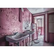 Ravensburger Pink Bath in Ruins Puzzle 1000 pièces
