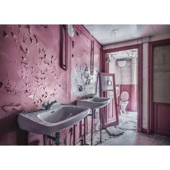 Ravensburger Pink Bath in Ruins Puzzle 1000 pièces