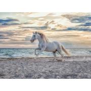 Ravensburger White Horse Puzzle 500 pièces