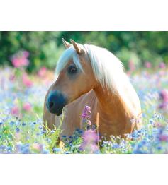 Puzzle Ravensburger Cheval Entre les Fleurs XXL 300 Pzs