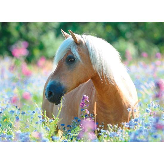Puzzle Ravensburger Cheval Entre les Fleurs XXL 300 Pzs