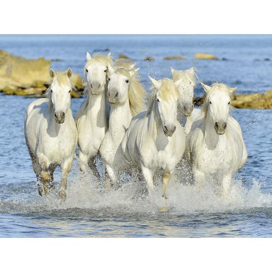 Ravensburger Chevaux sur la plage Puzzle 1500 pièces Ravensburger Chevaux sur la plage Puzzle 1500 pièces