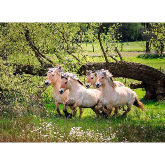 Ravensburger Puzzle Chevaux du Fjord Norvégien 500 Pièces