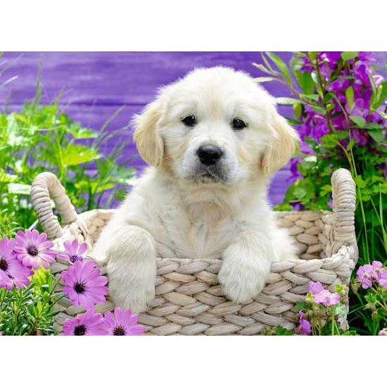 Ravensburger Golden Retriev Chiot Puzzle 500 pièces